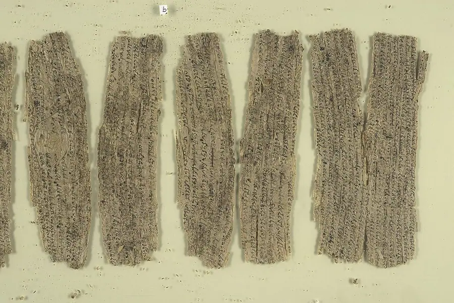 Strips of brown birch bark covered in lines of Kharoṣṭhī script, part of the first-century Gandhāran Buddhist scrolls in the British Library